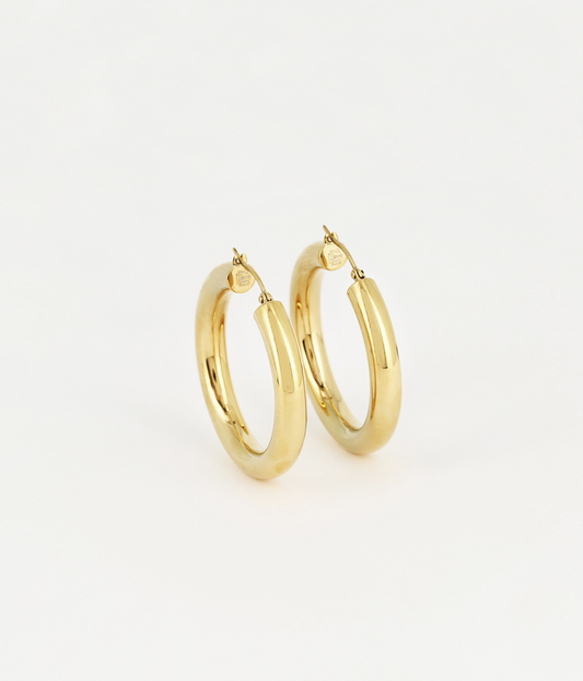 Mariella Earrings 6X60