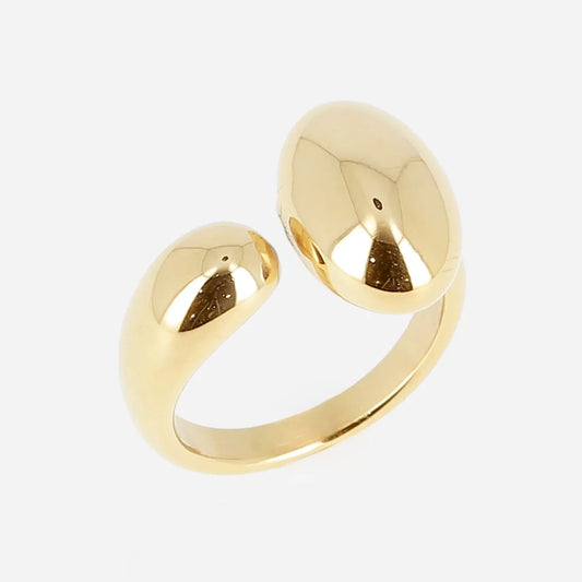 Anselme  Ring 54