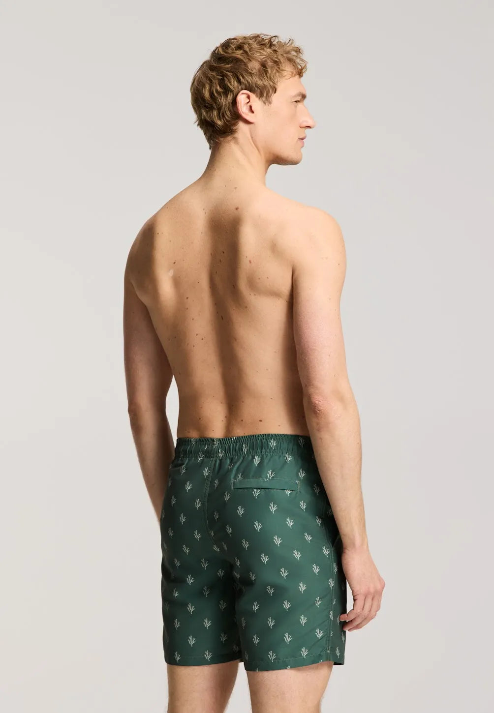 Men MIKE 7 inch swim shorts 7734 sketched coral green leaf