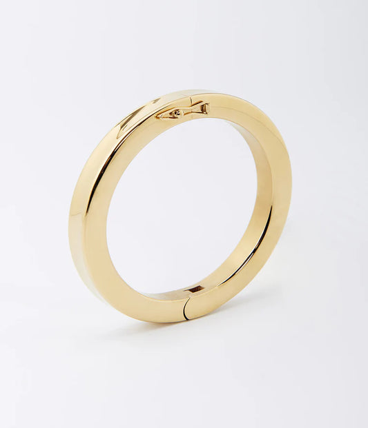 Darwin Bangle Bracelet