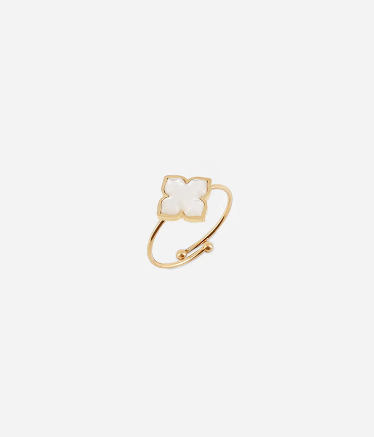 Racine Ring