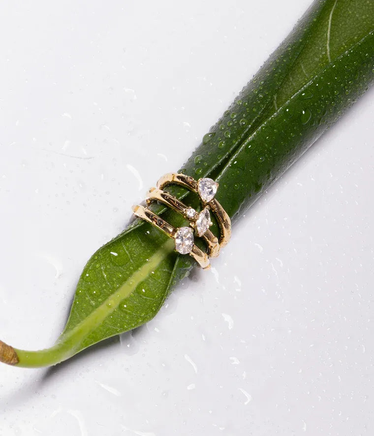 Sibari rings -56