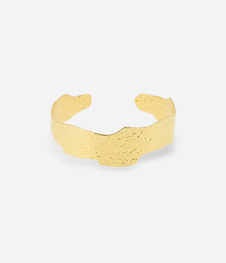 Ansel Bangle