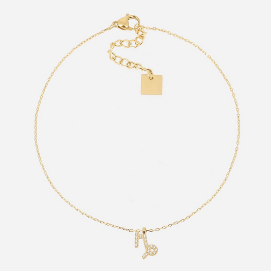 Capricorn Zodiac Anklet