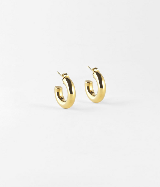 Jeanne Earrings 5X20