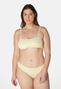 SWSP14-Vanilla-2.jpg.webp
