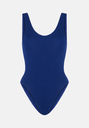 SWFB01-Blueberry-4.jpg.webp