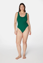 SWFB01-Kiwi-2.jpg.webp