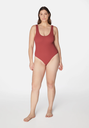 SWFB01-Raspberry-4.jpg.webp