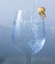 1A9A9731_760x885_crop_center.jpg.webp