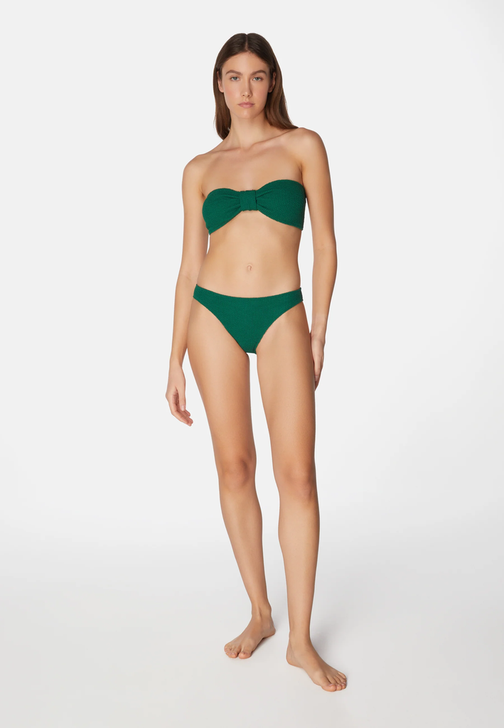 SWSP12-Kiwi-2.jpg.webp