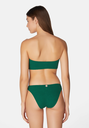 SWSP12-Kiwi-3.jpg.webp
