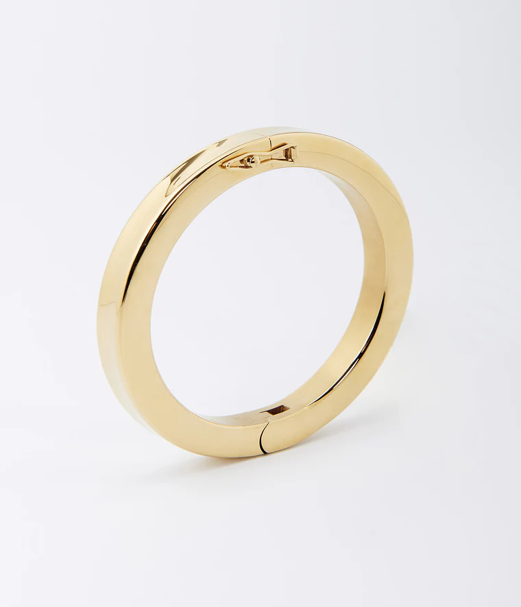 Darwin Bangle Bracelet