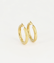 Mariella Earrings 6X60