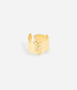 Ansel Ring